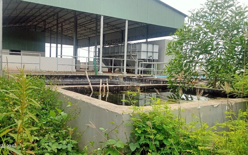 Khu xử lý nước thải của Công ty TNHH An Hạ. 