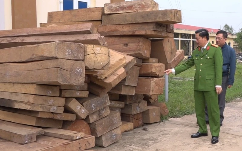 Công an Quảng Bình thu giữ 30m3 gỗ bị các đối tượng khai thác trái phép.