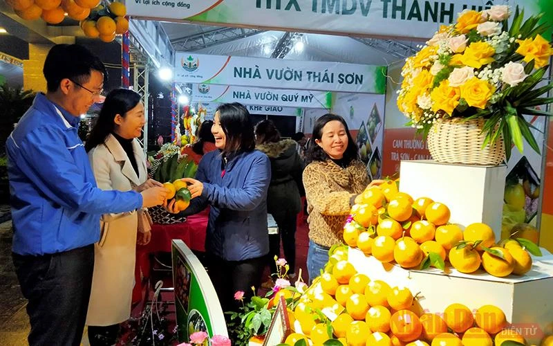 Khai mạc Lễ hội Cam và các sản phẩm nông nghiệp Hà Tĩnh lần thứ tư