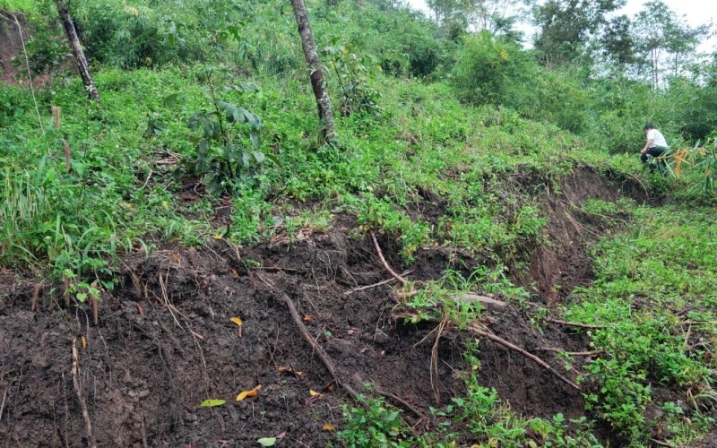Một khu vực đồi núi bị sạt lở ở thôn Ea Uôl, xã Cư Pui.