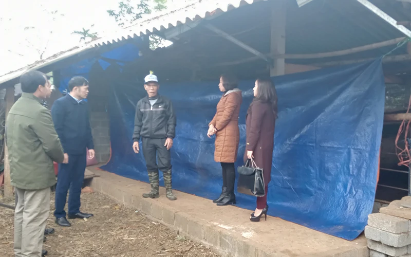 Cán bộ Chi cục Chăn nuôi, thú y và thủy sản tỉnh Thái Nguyên hướng dẫn nông dân huyên Phú Lương chống rét cho gia súc.