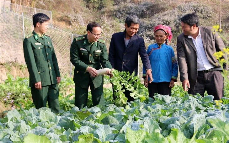 Ðồn Biên phòng Bản Máy (Hà Giang) hướng dẫn bà con dân tộc Phù Lá phát triển vườn rau dinh dưỡng. Ảnh: Quang Long