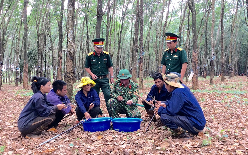 Anh Kpuih Sinh (thứ tư từ trái sang, hàng ngồi) ở làng Beng, xã Ia Chía, huyện Ia Grai (Gia Lai) trao đổi kỹ thuật cạo mủ cao-su với công nhân.