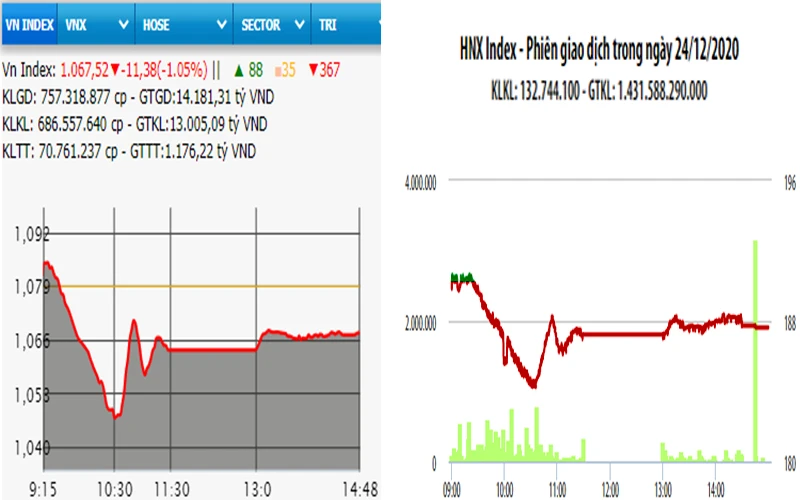 Diễn biến VN-Index và HNX-Index, phiên giao dịch ngày 24-12. 