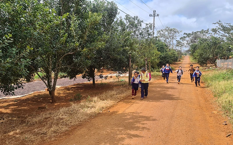Học sinh M’Nông ở bon Bu Prăng 1, xã Quảng Trực, huyện Tuy Ðức, trên đường đến trường.