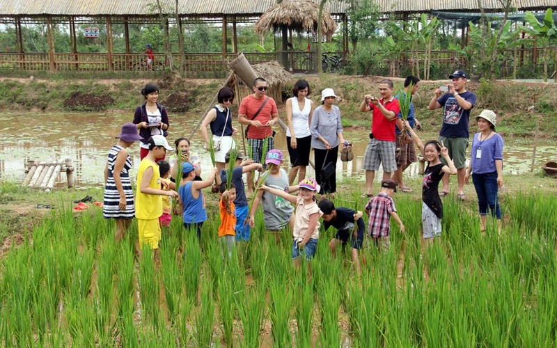 Trải nghiệm làm nông nghiệp tại Công viên Nông nghiệp Long Việt.