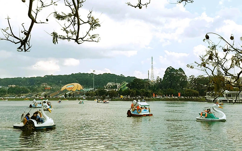 Dịch vụ du ngoạn thiên nga trên hồ Xuân Hương - Đà Lạt luôn hấp dẫn du khách.