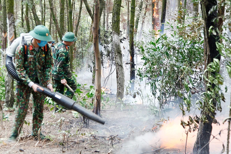 Lực lượng bộ đội tham gia cùng các lực lượng chức năng dập lửa.