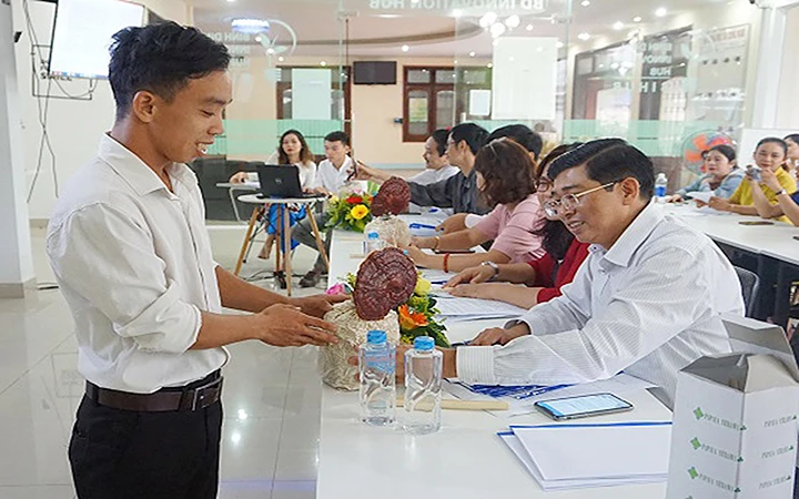 Thí sinh giới thiệu sản phẩm nấm dược liệu sinh thái tại cuộc thi Khởi nghiệp sáng tạo tỉnh Bình Định năm 2020. Ảnh: HỒNG HÀ