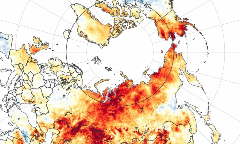 Bắc Cực và bắc Siberia có nhiệt độ trung bình đặc biệt khắc nghiệt vào năm 2020, với một khu vực rộng lớn cao hơn 3 độ C so với mức trung bình dài hạn. Ảnh: NASA / EPA.