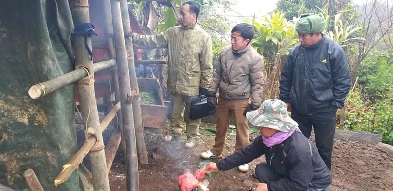 Cán bộ Phòng NN-PTNT huyện Tuần Giáo, tỉnh Điện Biên kiểm tra công tác bảo vệ gia súc tại cơ sở.