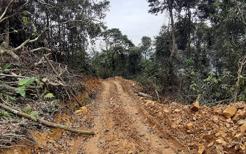 Tuyến đường lâm tặc mở trái phép vào rừng tự nhiên ở huyện Ngân Sơn