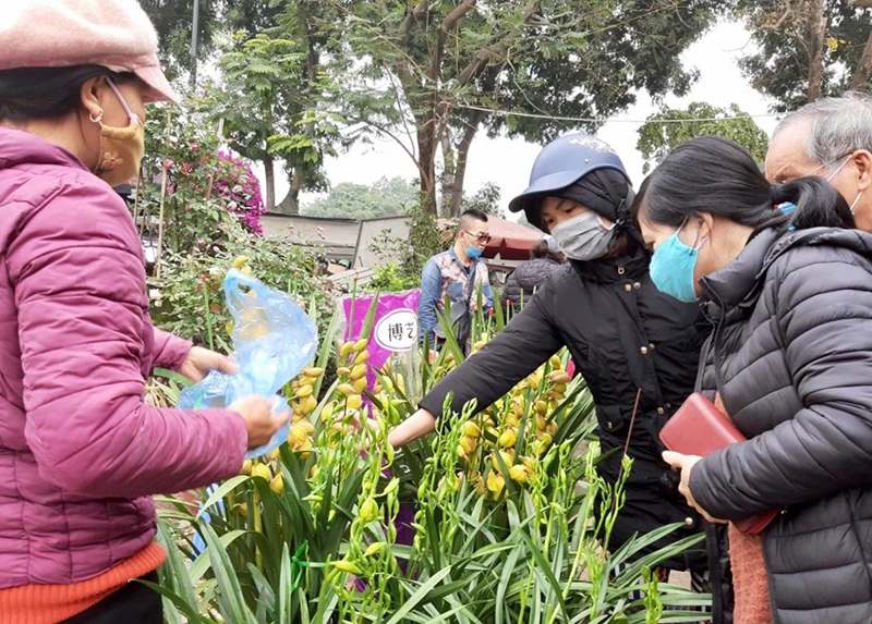 Người dân Hà Nội mua hoa tại chợ đầu mối phía nam.