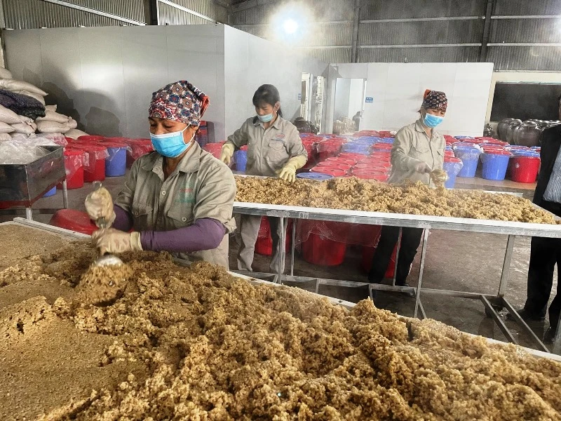 Sản phẩm rượu nếp cái hoa vàng (thị xã Kinh Môn, tỉnh Hải Dương) tiêu thụ chậm do dịch Covid-19. 