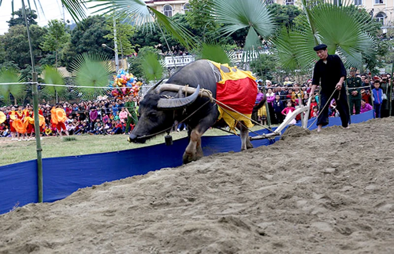 Nghi lễ xuống đồng (cày ruộng) tại Lễ hội Lồng Tông, huyện Chiêm Hóa, tỉnh Tuyên Quang.
