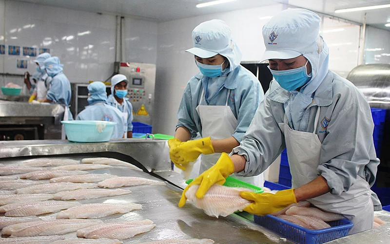 Chế biến cá tra xuất khẩu tại một doanh nghiệp ở Khu công nghiệp Trà Nóc 2 (TP Cần Thơ).