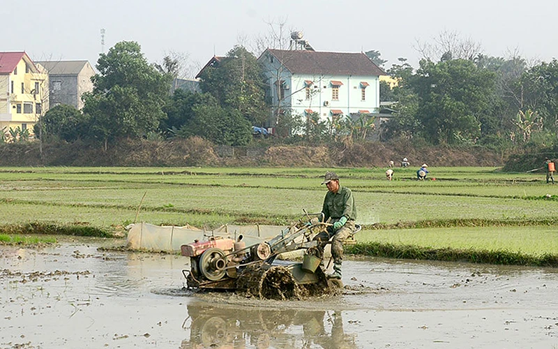 Người dân xã Thắng Quân (huyện Yên Sơn, tỉnh Tuyên Quang) làm đất chuẩn bị gieo cấy vụ đông xuân.