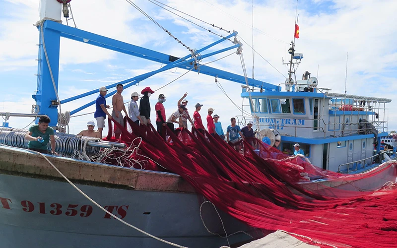 Ngư dân đưa lưới mới lên tàu tại cảng cá Mỹ Tân, xã Thanh Hải, huyện Ninh Hải (Ninh Thuận).Ảnh: MINH HƯNG (TTXVN)