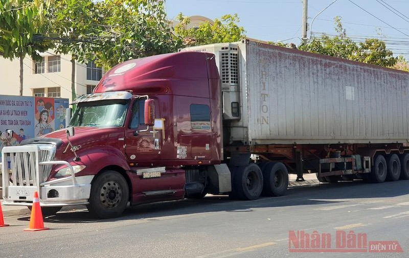Xe container 34C1-10343 của Hải Dương do hai lái xe từ tỉnh Hải Dương điều khiển tới Bình Thuận ngày 19-2-2021 được phun khử khuẩn. 