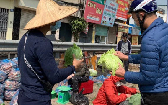 Người dân Hà Nội mua nông sản hỗ trợ nông dân tỉnh Hải Dương.