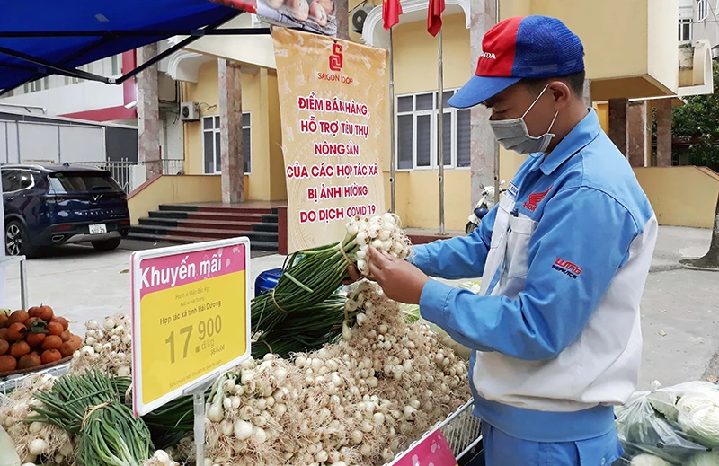 Điểm giải cứu nông sản Hải Dương của siêu thị Co.op Mart tại trụ sở Liên minh Hợp tác xã TP Hà Nội (số 217 Trần Phú, Hà Đông, Hà Nội).