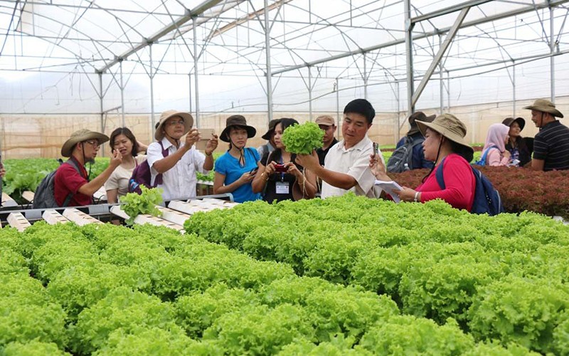 Ứng dụng khoa học công nghệ trong sản xuất nông nghiệp  Đài Phát thanh   Truyền hình Lào Cai