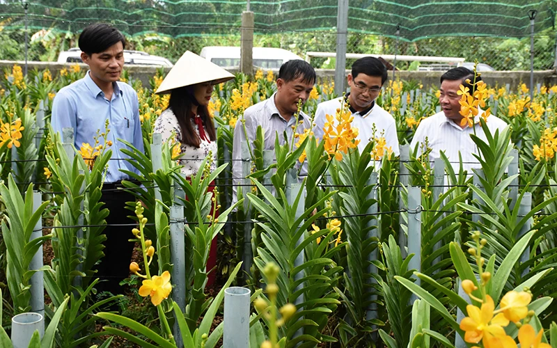 Chị Lê Thị Thu Hà, Bí thư Đảng ủy, Chủ tịch HĐND xã Hòa Bắc cùng lãnh đạo huyện Hòa Vang thăm mô hình trồng hoa của người dân thôn Lộc Mỹ.