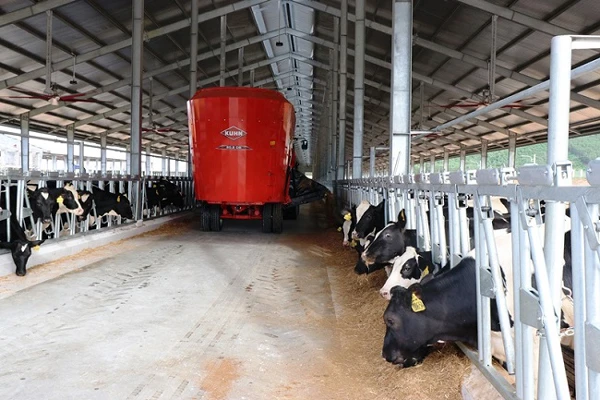 Trang trại bò sữa cao sản của Vinamik tại Quảng Ngãi.