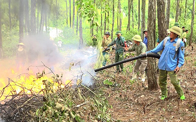 Cán bộ, chiến sĩ Hạt Kiểm lâm Thạch Thành (Thanh Hóa) phối hợp nhân dân xã Thành Long tổ chức diễn tập chữa cháy rừng. Ảnh: NGỌC THẮNG