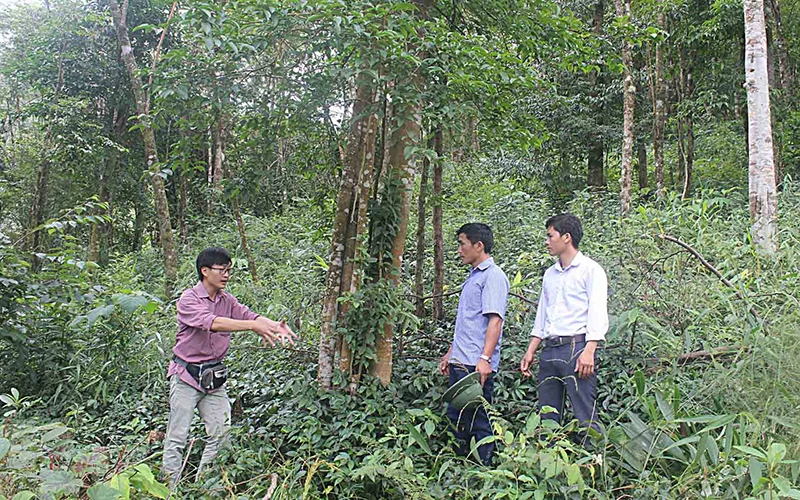 Cán bộ huyện Tam Đường (Lai Châu) kiểm tra công tác bảo vệ, phòng, chống cháy rừng. Ảnh: THU MINH