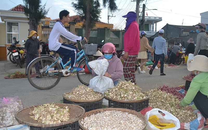 Tỏi từ các địa phương khác được bày bán tràn lan trên đảo Lý Sơn.