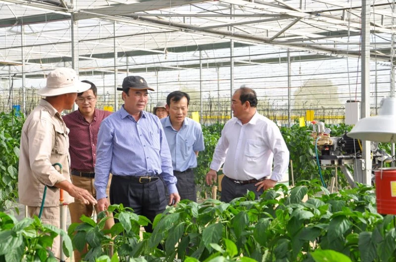 TS Phạm S (đứng giữa) thực tế tại nhà vườn sản xuất nông nghiệp công nghệ cao huyện Đơn Dương, Lâm Đồng.