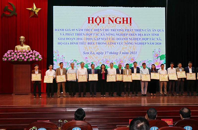 UBND tỉnh Sơn La tặng Bằng khen cho các tập thể, cá nhân tiêu biểu tại Hội nghị.