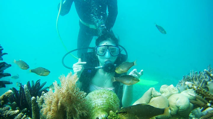 Ngắm san hô ở Hòn Thơm