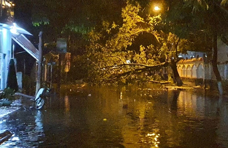 Tuyến đường Ngô Quyền, TP Kon Tum bị ngập cùng cây gãy chắn ngang đường, khiến cho người dân không lưu thông được.