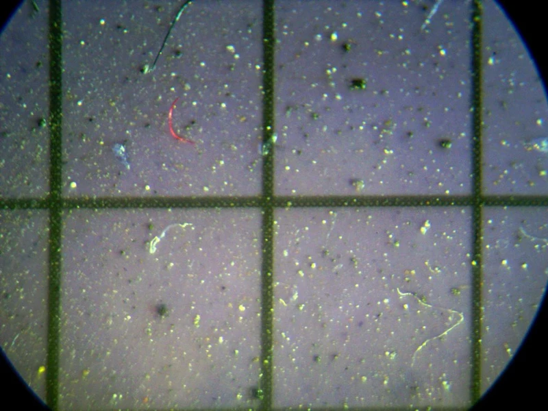 Các hạt vi nhựa trong mẫu tuyết ở Siberia được nhìn qua kính hiển vi của phòng thí nghiệm ở Tomsk, Nga vào ngày 17-3. Ảnh: Trung tâm vi nhựa Siberia thuộc Đại học bang Tomsk, Nga.