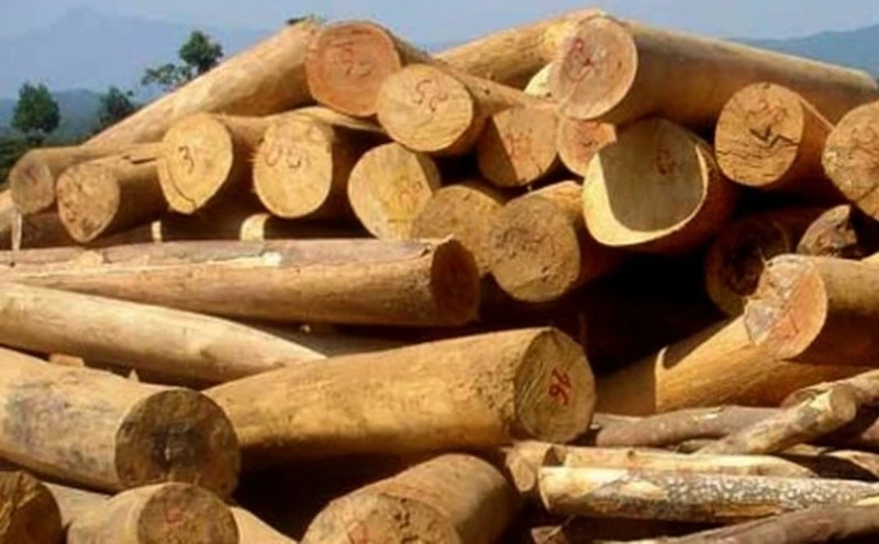 Hiện nay Việt Nam là thị trường cung cấp lớn thứ 10 cho Pháp về mặt hàng gỗ nội thất.