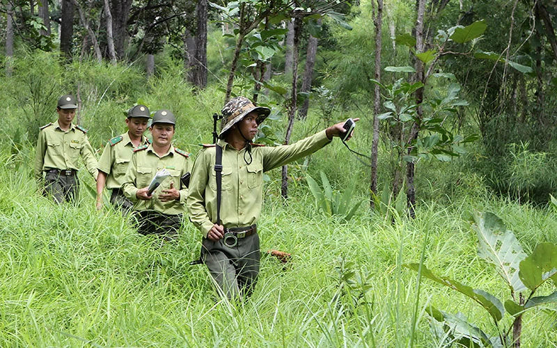 Cán bộ kiểm lâm tỉnh Đắk Lắk tuần tra bảo vệ rừng. Ảnh: DƯƠNG GIANG
