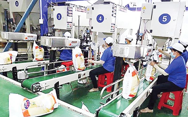 Đóng gói gạo xuất khẩu tại nhà máy Công ty Cổ phần Nông nghiệp công nghệ cao Trung An (Cần Thơ). Ảnh: Vũ Sinh 