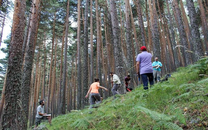 Tập huấn bảo tồn rừng ở Tây Ban Nha. Ảnh GEUTREE