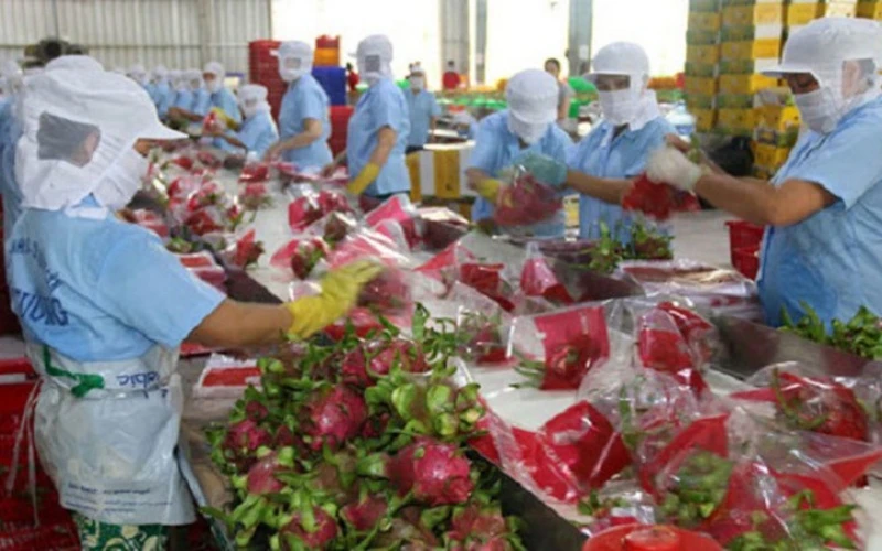 Xuất khẩu rau quả trong quý I-2021 ước đạt 944 triệu USD.