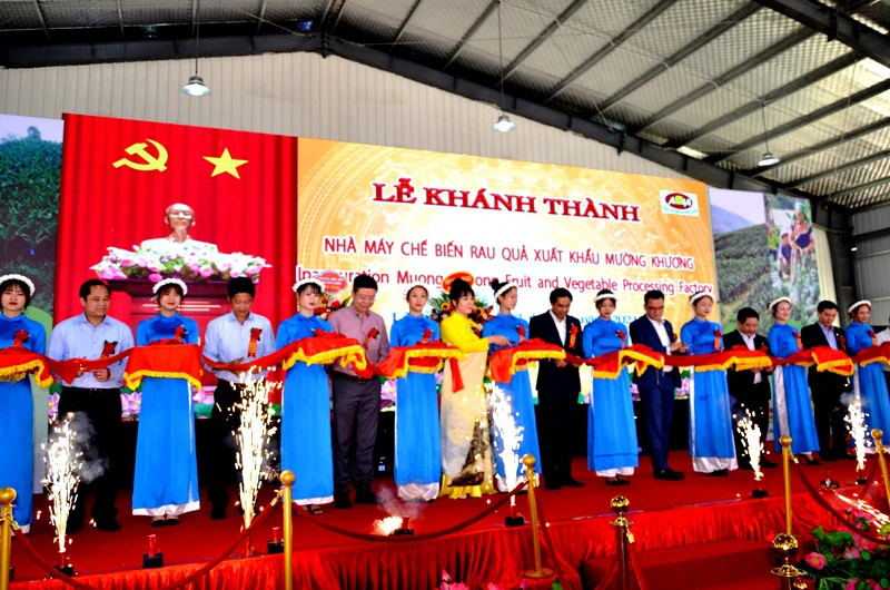 Khánh thành Nhà máy chế biến dứa đóng hộp xuất khẩu Lùng Vai (huyện Mường Khương, tỉnh Lào Cai).