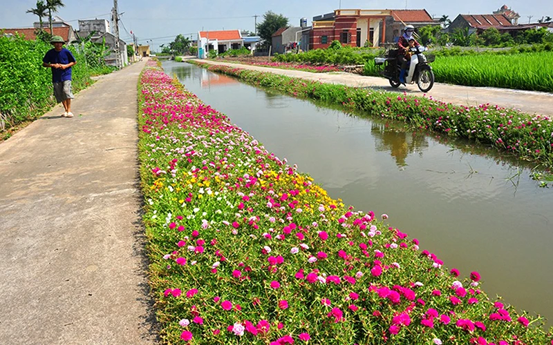 Những con đường nông thôn sạch sẽ, thoáng mát tại xã Hải Lộc, huyện Hải Hậu (Nam Ðịnh). Ảnh: TRẦN KHÁNG