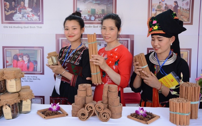 NDO -  Là huyện miền núi của tỉnh Yên Bái, Trấn Yên có diện tích tự nhiên gần 63.000 ha, với 21 xã, thị trấn. Hệ thống thủy lợi được đầu tư nâng cấp bảo đảm tưới tiêu cho sản xuất nông nghiệp và phòng, chống thiên tai; hệ thống chợ nông thôn được xây dựng đáp ứng nhu cầu trao đổi hàng hóa của người dân. Đây là kết quả của nhiều năm Trấn Yên kiên trì ban hành nhiều chính sách khuyến nông, ngoài cây lúa truyền thống đã vận động nông dân tập trung trồng mới, thâm canh, sản xuất sáu loại cây chủ lực: Quế, dâu, măng tre Bát độ, chè, cây dược liệu, cây lâm nghiệp.