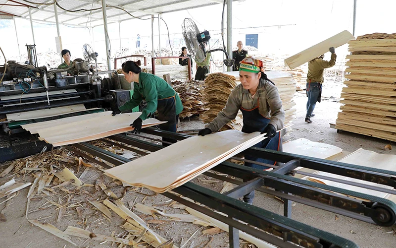 Sản xuất gỗ MDF xuất khẩu tại Công ty cổ phần đầu tư gỗ VINA, khu Công nghiệp Thanh Bình, xã Thanh Thịnh, huyện Chợ Mới (Bắc Kạn). Ảnh: Văn Sinh 