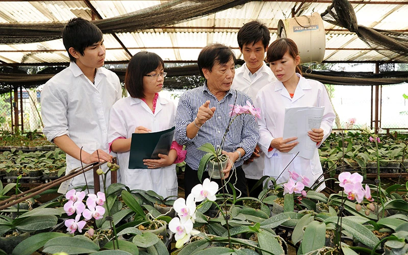 GS, TS, NGND Nguyễn Quang Thạch hướng dẫn sinh viên tại vườn ươm của Viện Nghiên cứu sinh học Nông nghiệp (Học viện Nông nghiệp). Ảnh: Trần Hải