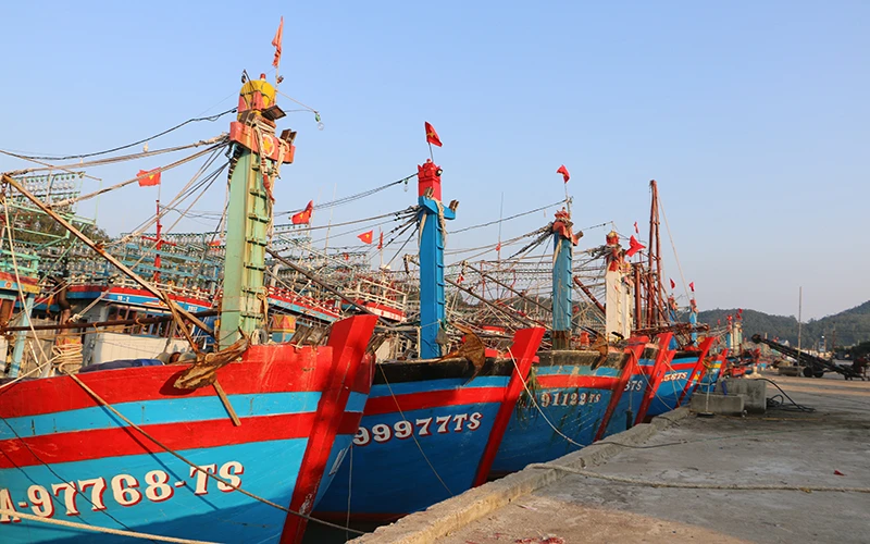 Nhiều tàu cá ở Lạch Quèn từ sau Tết Nguyên đán vẫn chưa ra khơi.