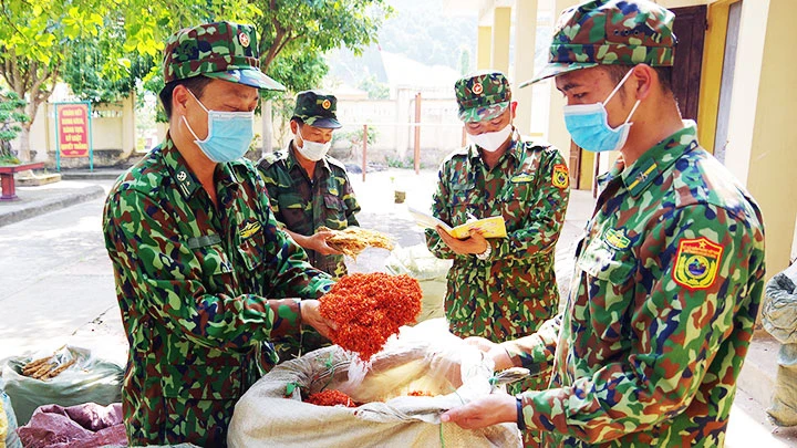 Chiến sĩ Đồn Biên phòng Chi Ma (Lạng Sơn) kiểm tra lô hàng nguyên liệu thuốc đông y nhập lậu.