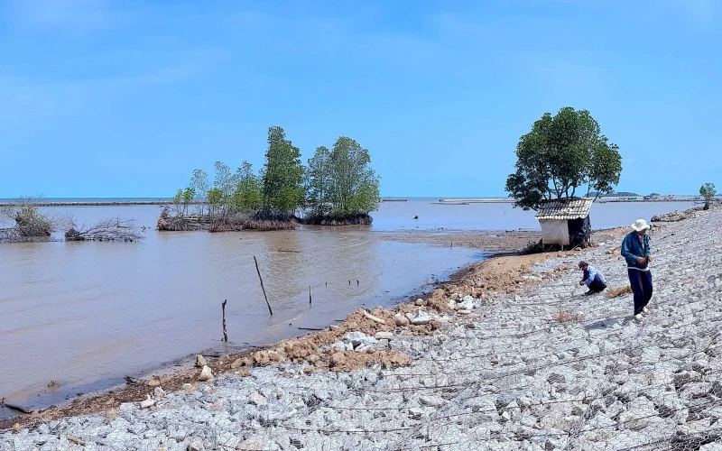 Một đoạn sạt lở dọc chân đê biển Tây, qua huyện Trần Văn Thời trước đây và hiện đã được khắc phục xong.