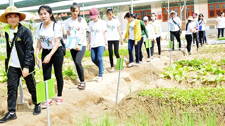 Học sinh Trường THPT Lương Thế Vinh trong một buổi học làm vườn với chuyên gia.